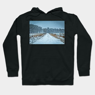 January Snow Day Hoodie